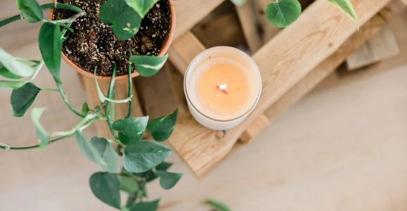 Wellbeing Wednesdays